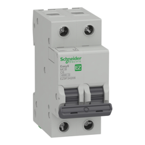 Cầu dao tự động 2P 6A Schneider (EZ9F34206)