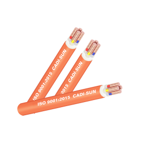 CÁP CHẬM CHÁY  FSN-CXV 3X+1X