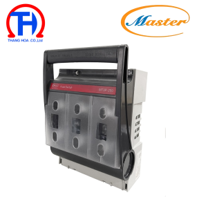 Ngắt Mạch Cầu Chì MT3P-100 Master