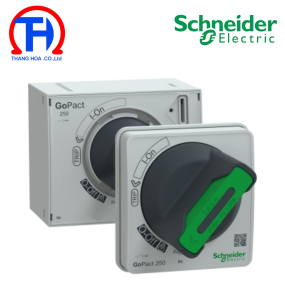 Tay cầm xoay kéo dài, GoPact MCCB 250, chiều dài trục 250m Schneider