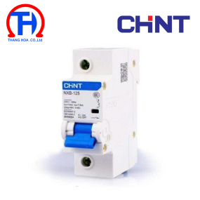 MCB Chint NXB-125 125A 10KA 1P