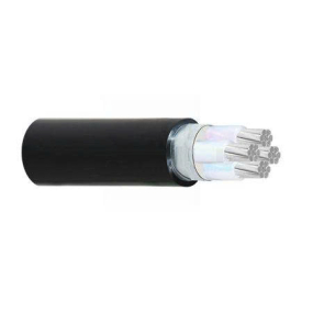 DÂY CÁP ĐIỆN CADIVI AXV/DSTA-4×120 mm2 – 0.6/1kV