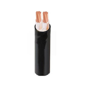 DÂY CÁP ĐIỆN 2 LÕI CADIVI CXV-2×150 mm2 – 0.6/1kV